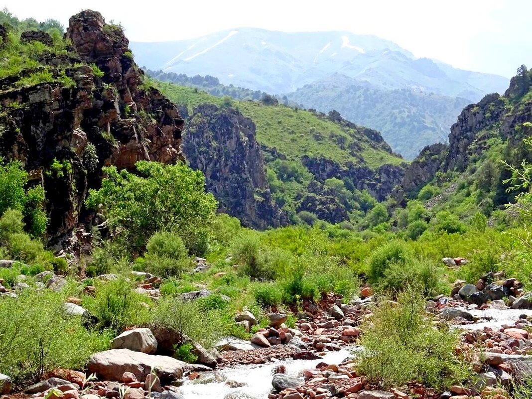 НАШИ ПРОГУЛКИ. - Виктор Осипчук НАШИ ПРОГУЛКИ. - Виктор Осипчук