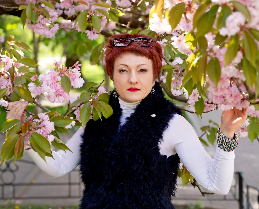 Сакуры - Лана 