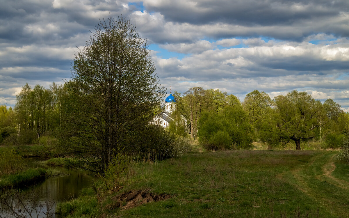 Однажды в Мае 2 - Андрей Дворников