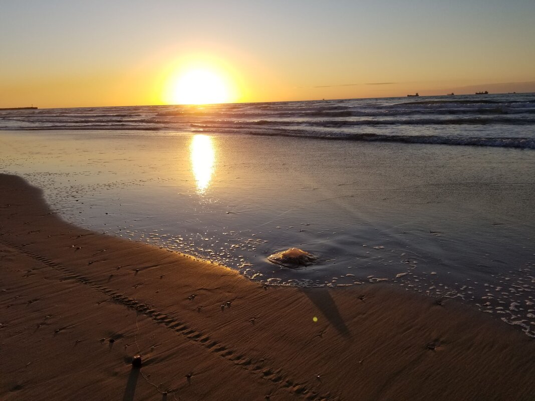 Золотой закат - Светлана Хращевская Золотой закат - Светлана Хращевская