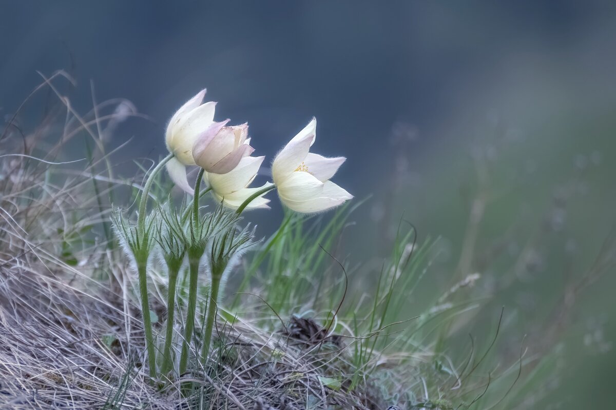 На краю скалы - Марина Фомина. На краю скалы - Марина Фомина.