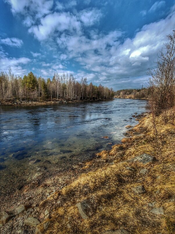 *** - Виталий Бенгард