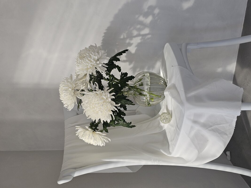 Белое на белом - Галина Левина