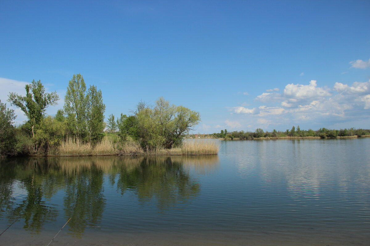 **** - Виктор **** - Виктор