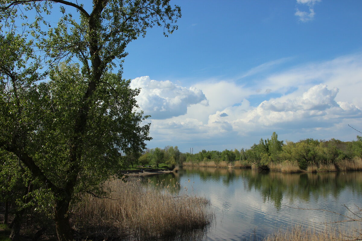 *** - Виктор *** - Виктор