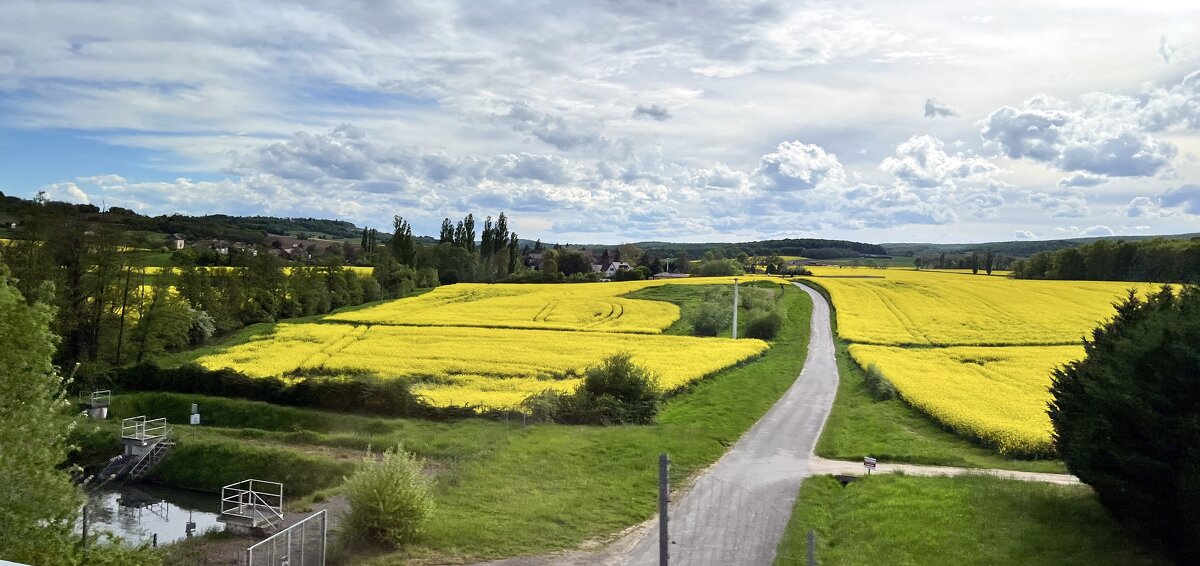 Мир Природы / Natural World" - "The Natural World" Александер