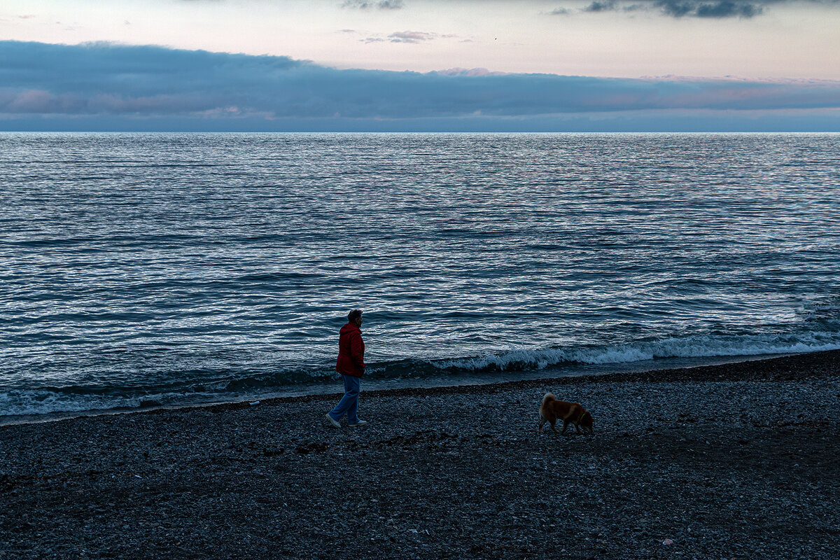 Вечерний собаколюб - Юрий Яловенко