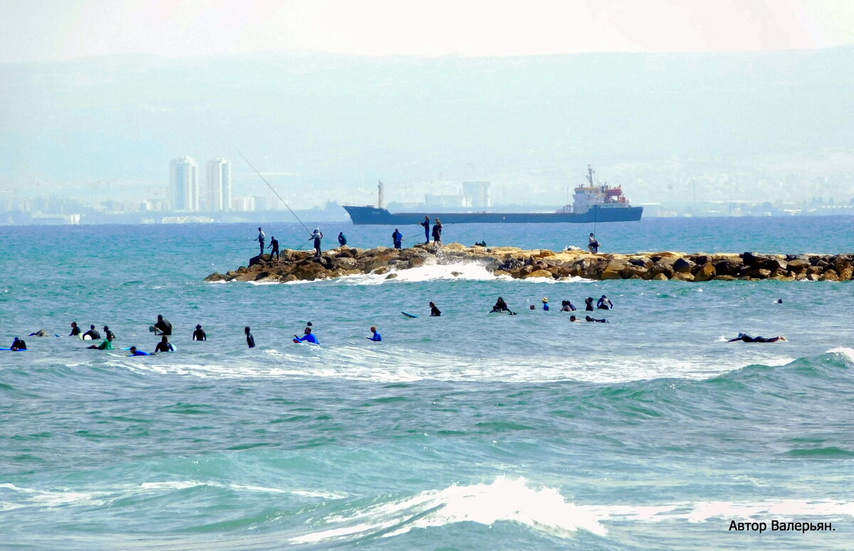 Тренировка пловцов. - Валерьян Тренировка пловцов. - Валерьян