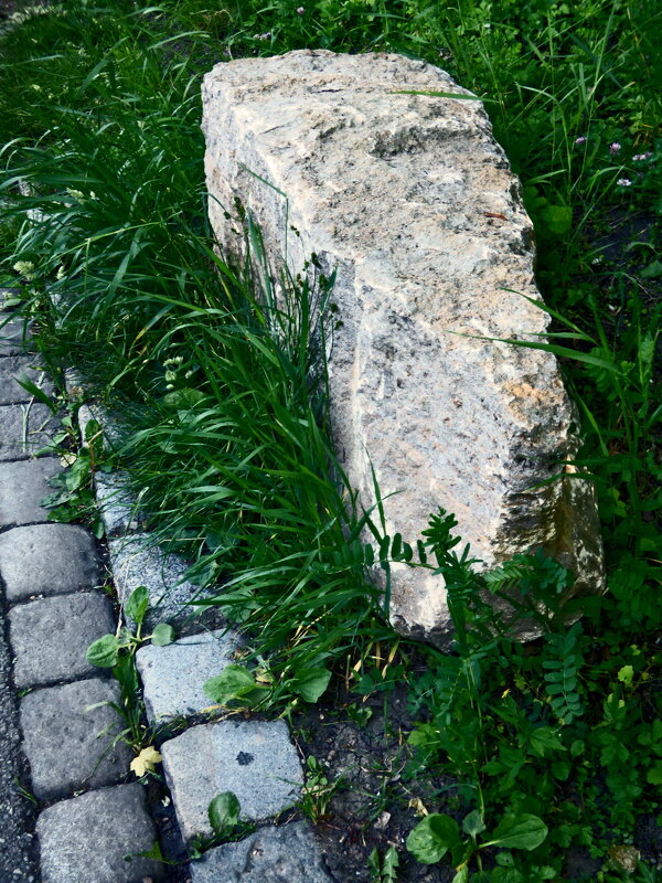 Весенние зарисовки 131 - Алексей Кузнецов