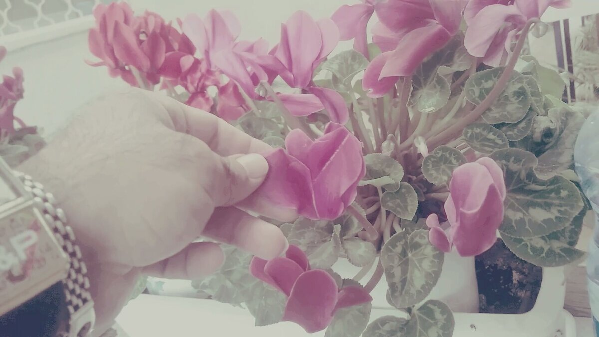 111 (122) - СТРЕН 