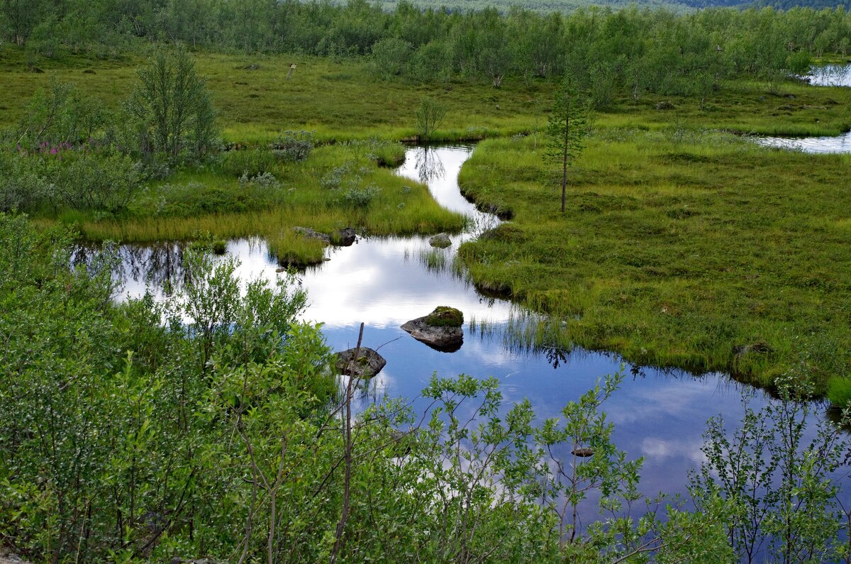 Ручей - Сергей Швечков Ручей - Сергей Швечков