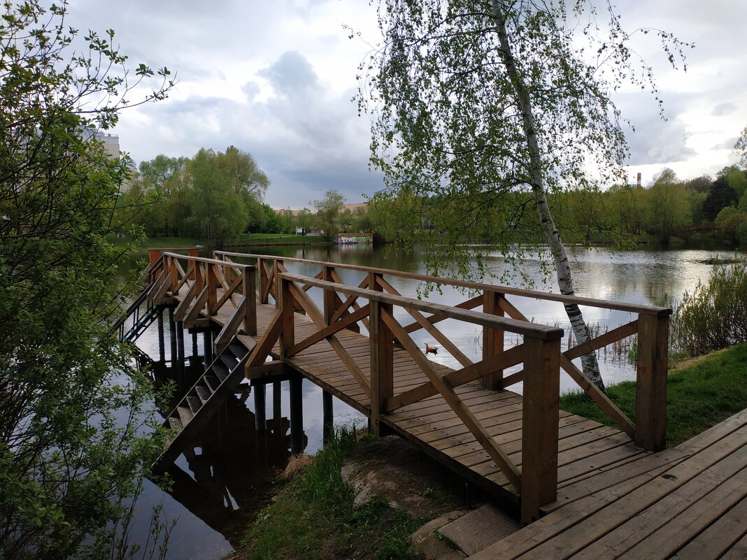 * * * - Андрей Лукьянов