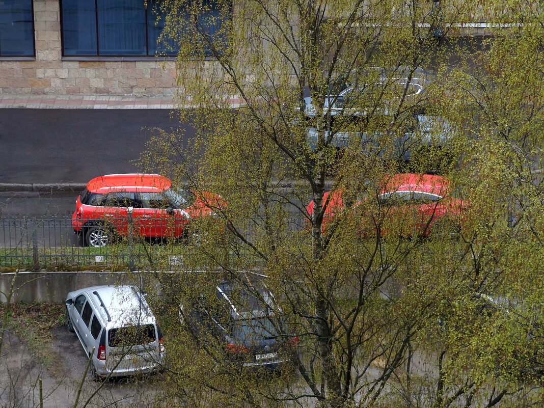 двойняшки - zavitok *