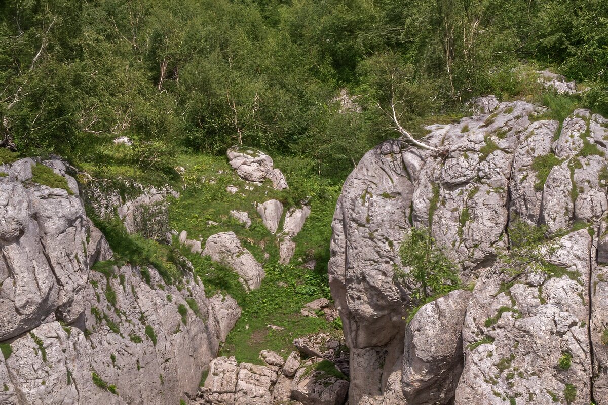 Природа Адыгеи - Игорь Сикорский Природа Адыгеи - Игорь Сикорский