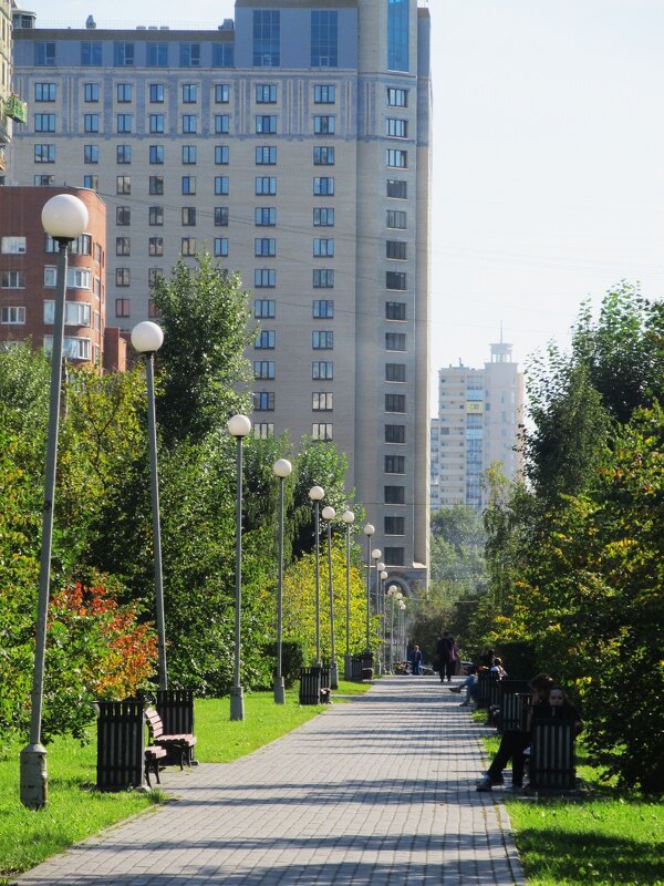 зарисовка - Елена Шаламова