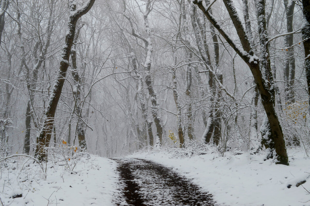 Первый снег...... - Юрий Цыплятников Первый снег...... - Юрий Цыплятников