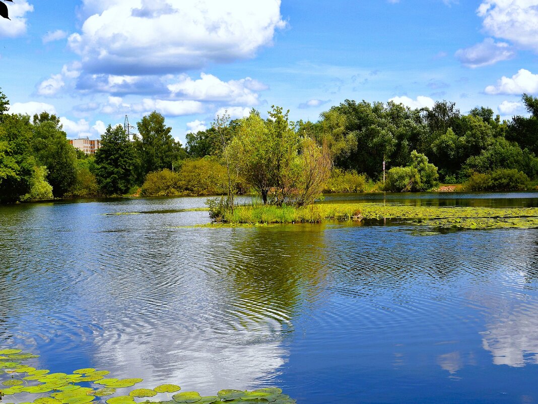 Чебоксары. Остров Ботанического пруда. - Пётр Чернега Чебоксары. Остров Ботанического пруда. - Пётр Чернега