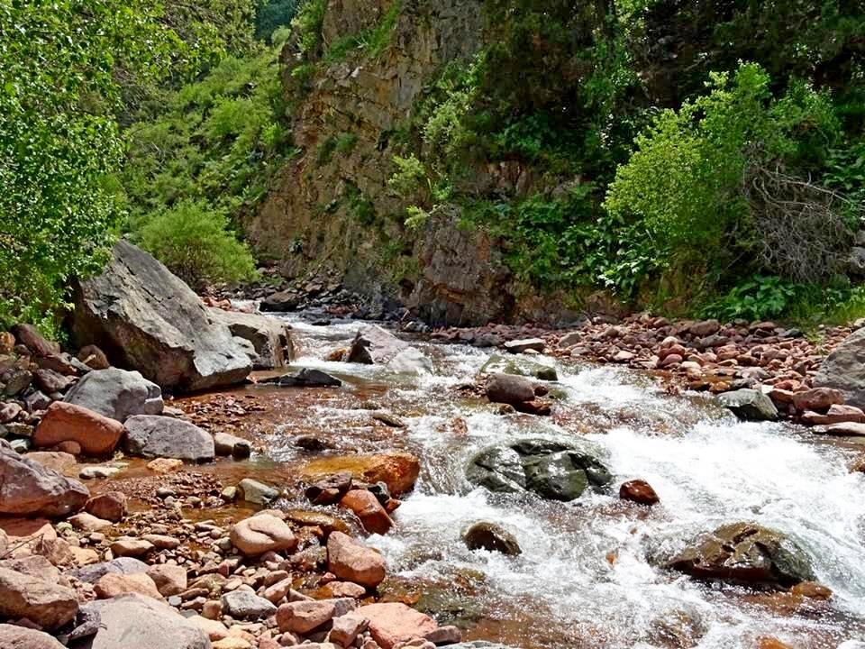 НАШИ ПРОГУЛКИ. - Виктор Осипчук