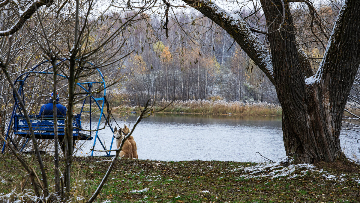 Первый снег - Геннадий Фадеев