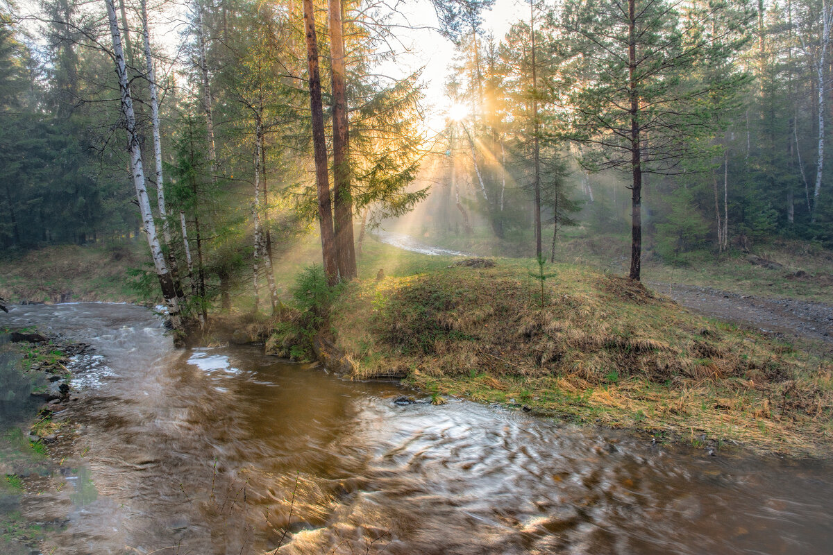 Вечерние лучи - Vladimbormotov 