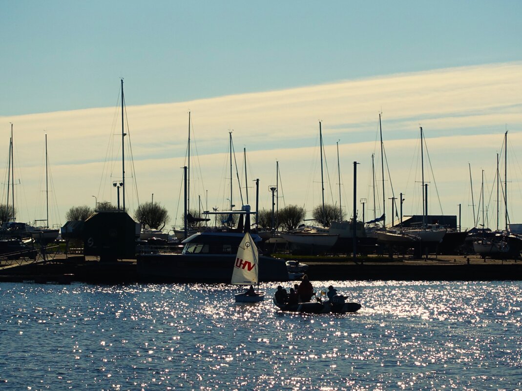 Начала работать на воде Школа парусного спорта RS Sailors - Aida10 Начала работать на воде Школа парусного спорта RS Sailors - Aida10