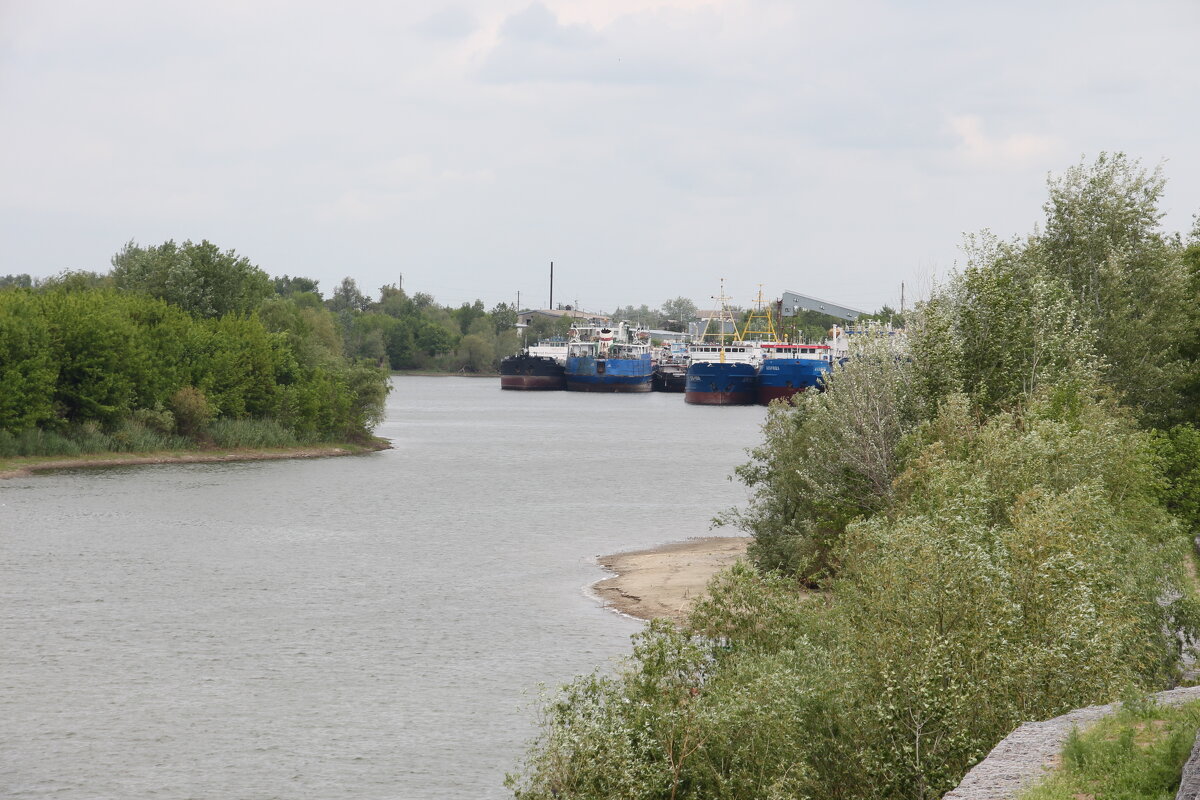 В Затоне с мечтой выйти на чистую воду... - Сергей В Затоне с мечтой выйти на чистую воду... - Сергей