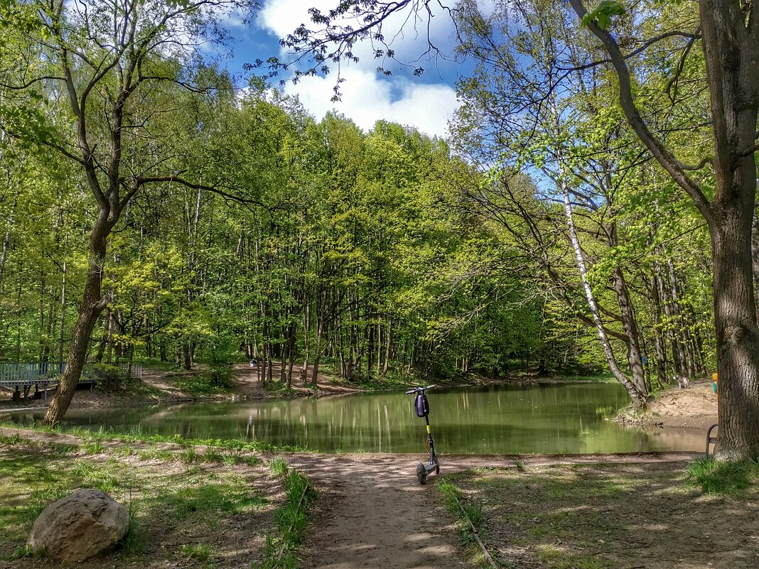 лесное озеро - Валентина. .