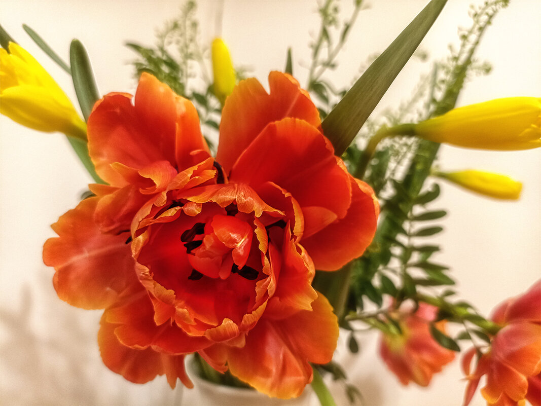 *** - Лилия * *** - Лилия *