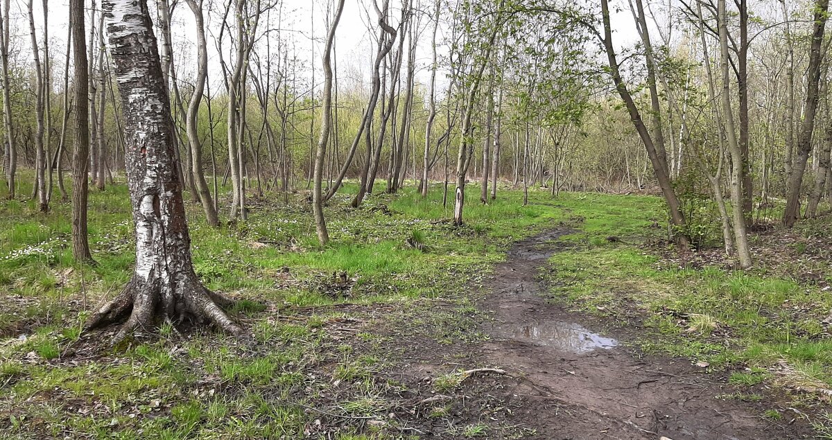 Май - Наталья Герасимова