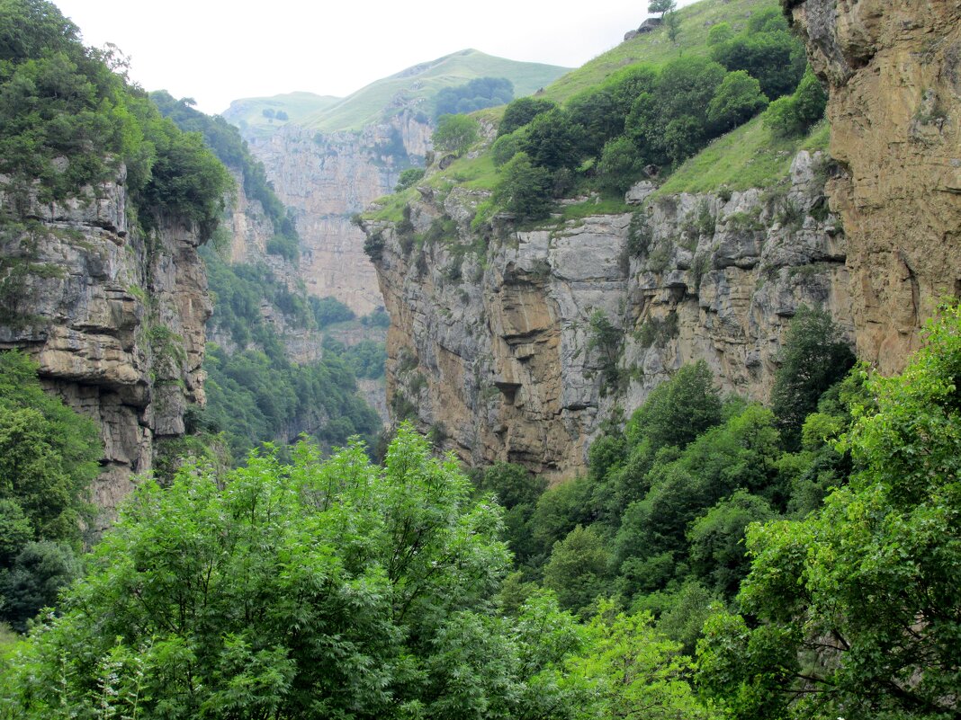 Чегем - Андрей Л. В. Чегем - Андрей Л. В.