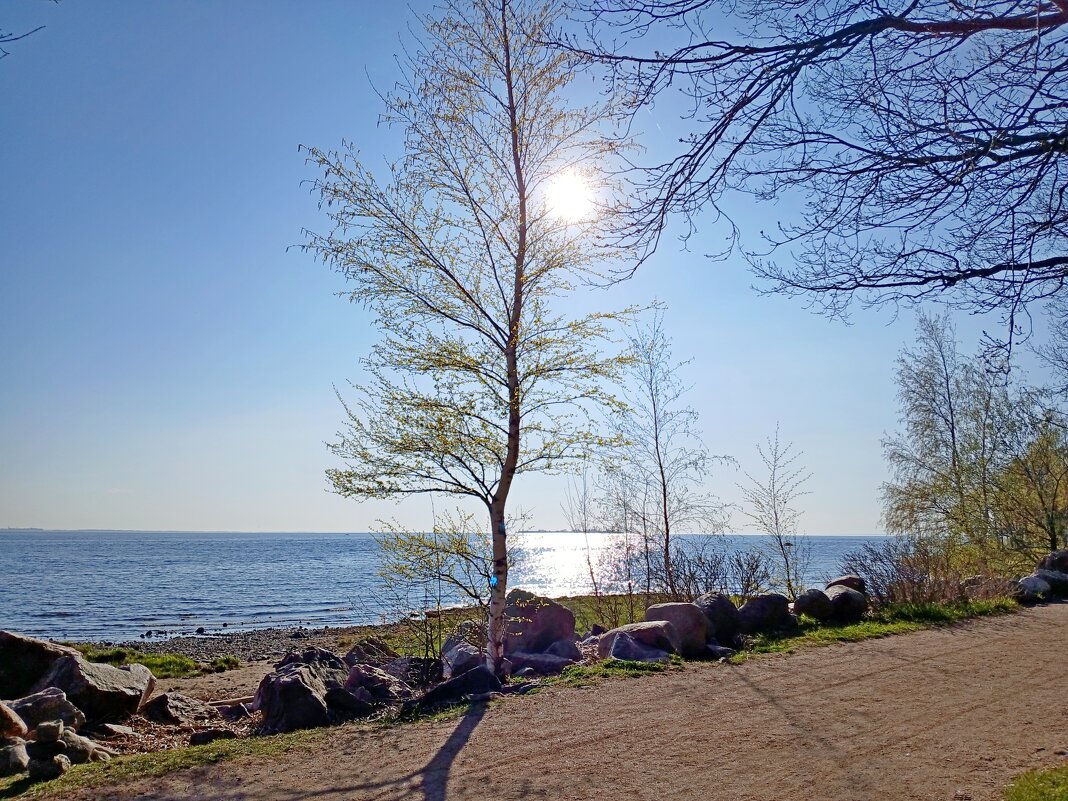 Дождались "у моря хорошей погоды" ☼ - Лия ☼ Дождались "у моря хорошей погоды" ☼ - Лия ☼