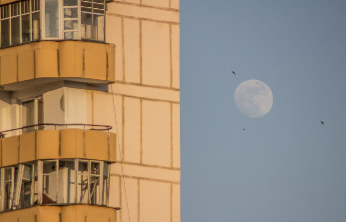 Совковая архитектура & птицы шныряющие у луны - Коля Лукашов Совковая архитектура & птицы шныряющие у луны - Коля Лукашов