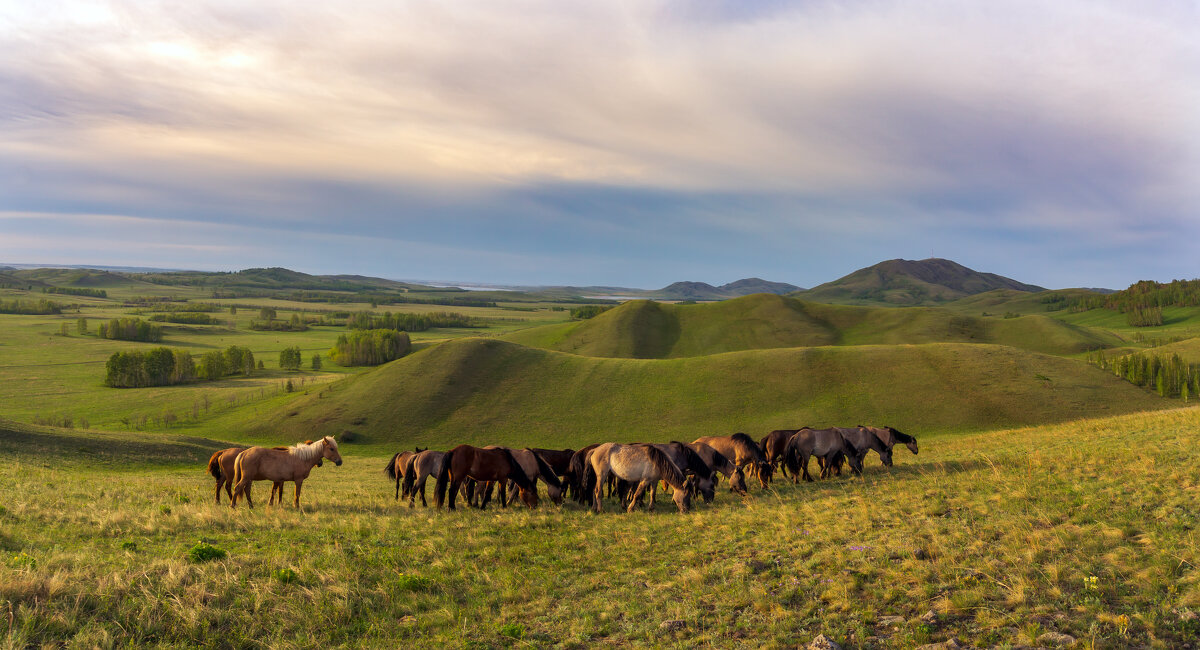 Доброе утро - Максимка Доброе утро - Максимка