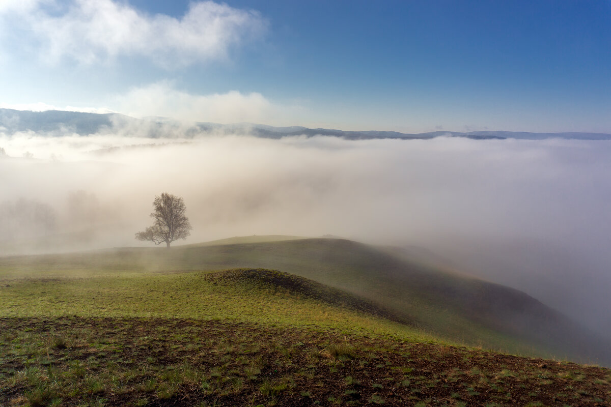 Туманное утро - Максимка Туманное утро - Максимка