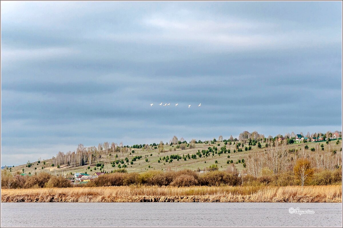 Неторопливый май... - Aquarius - Сергей Неторопливый май... - Aquarius - Сергей