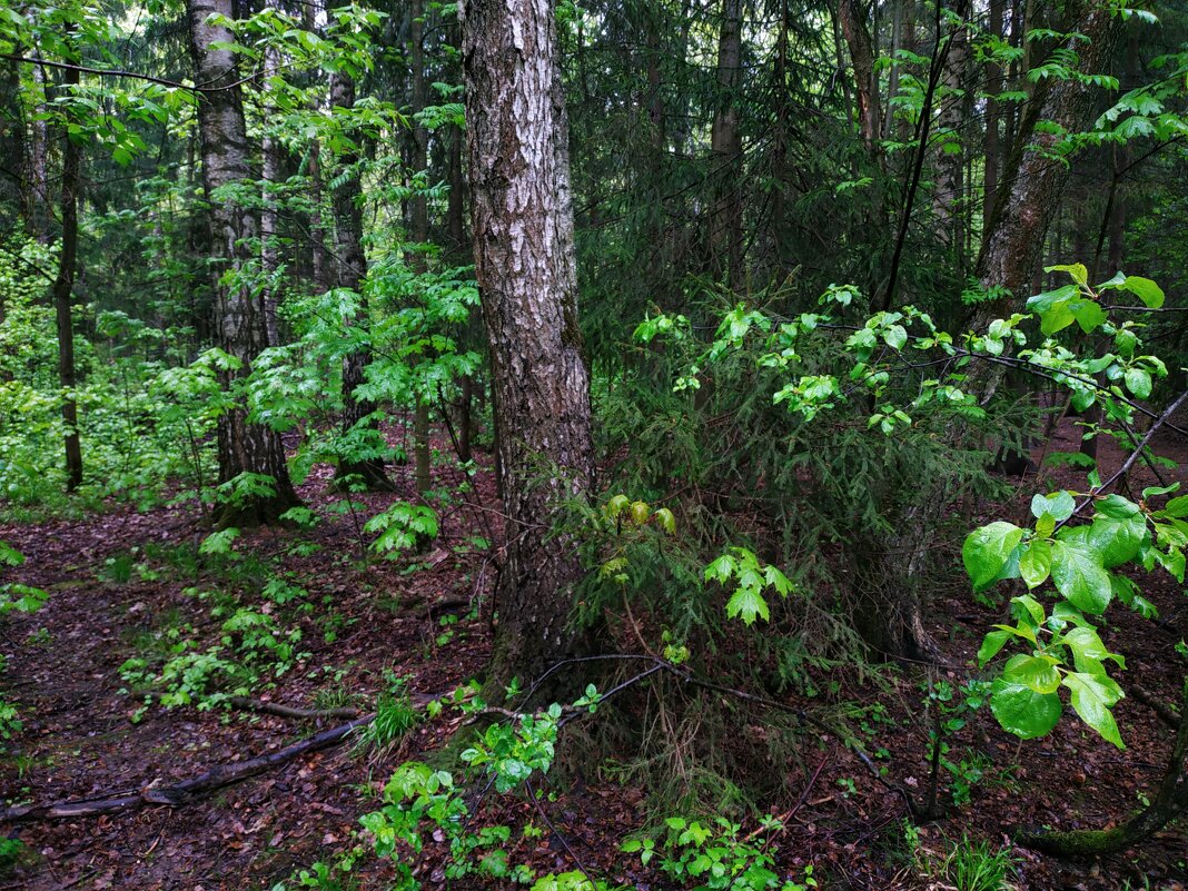 Холодный май 25-го - Андрей Лукьянов Холодный май 25-го - Андрей Лукьянов