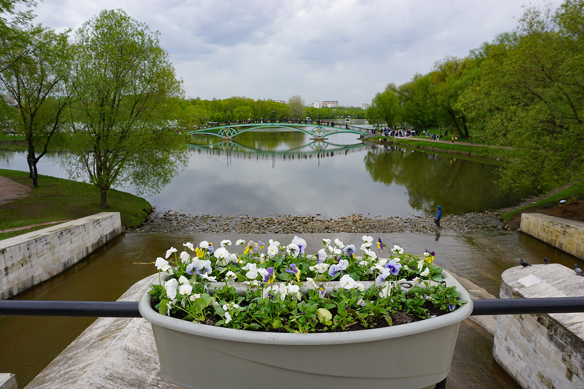 Царицынские пруды - Ольга Царицынские пруды - Ольга