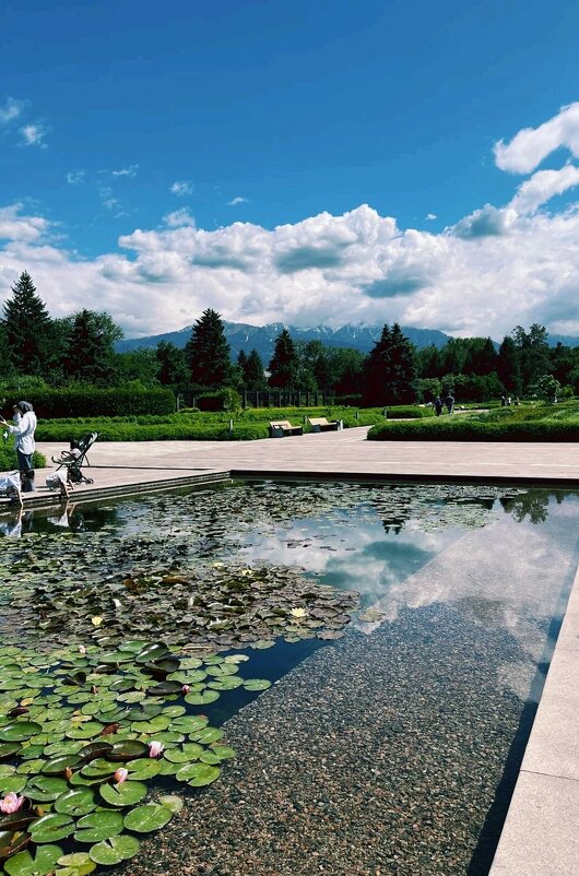 В ботаническом саду. - Георгиевич 