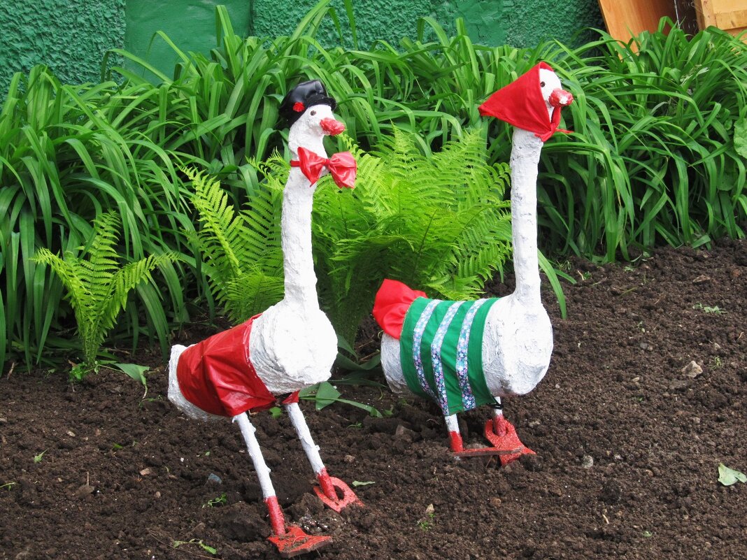 жизнь на придомовых участках - Елена Шаламова