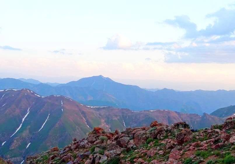 НАШИ ПРОГУЛКИ. - Виктор Осипчук