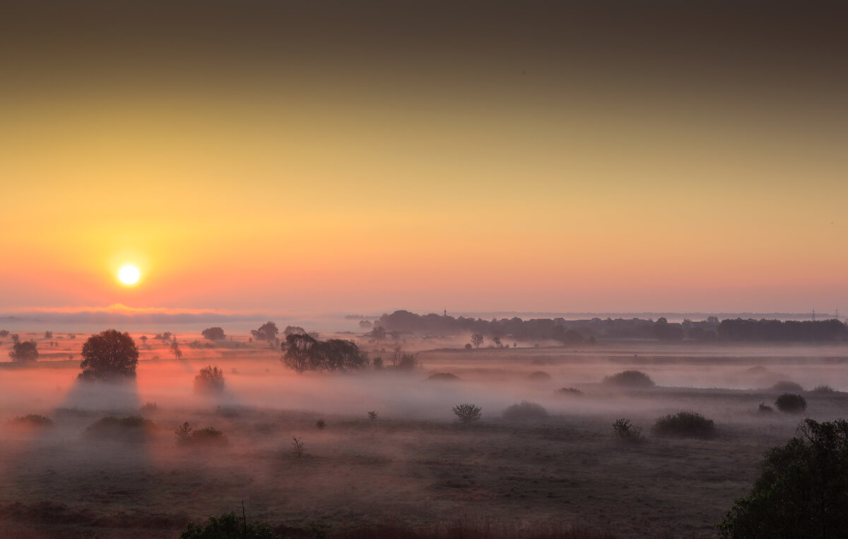 ..... - Вадим Виловатый