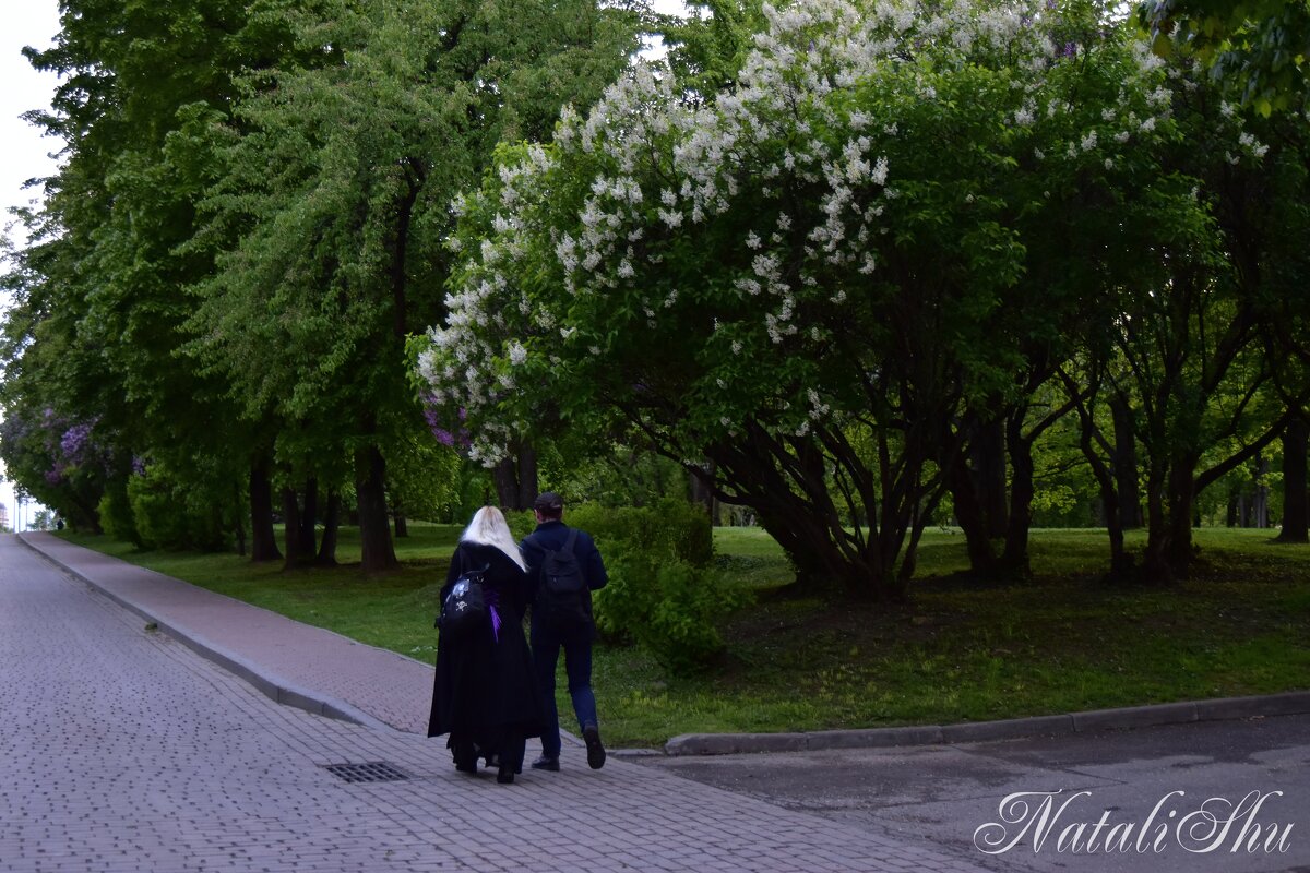 Таинственные посетители парка. - Наталья Вязигина Таинственные посетители парка. - Наталья Вязигина