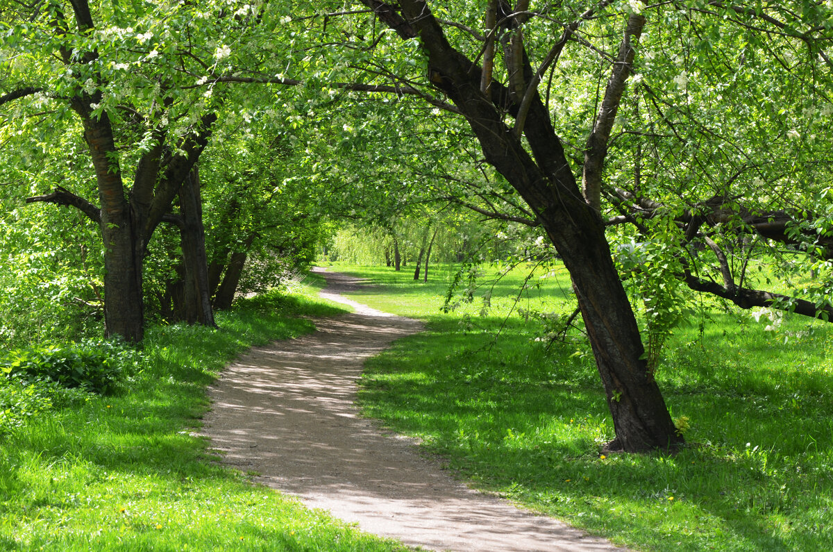 Москва. Царская усадьба Измайлово, XVII в. - Наташа ***** Москва. Царская усадьба Измайлово, XVII в. - Наташа *****