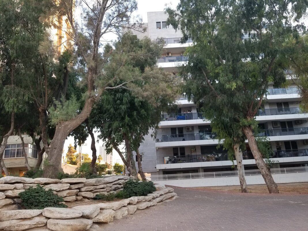 " - Светлана Хращевская " - Светлана Хращевская