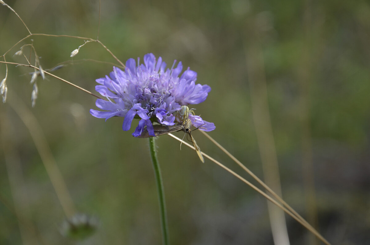 Кончен бал.... - Aleksandr Gal