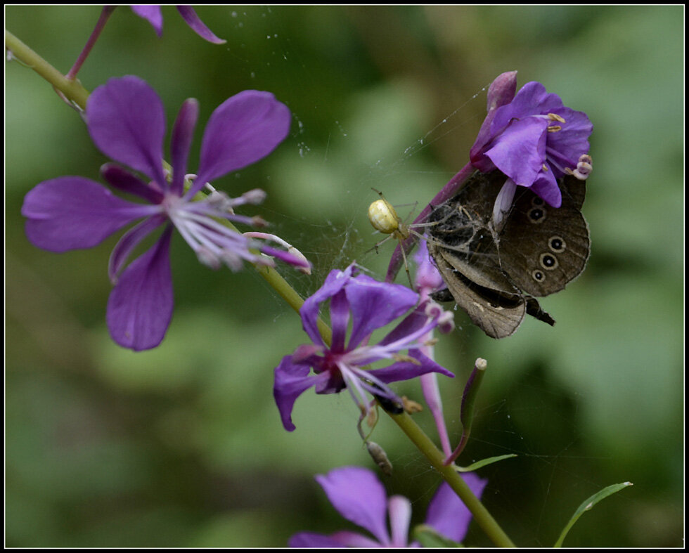 Кончен бал.. - Aleksandr Gal