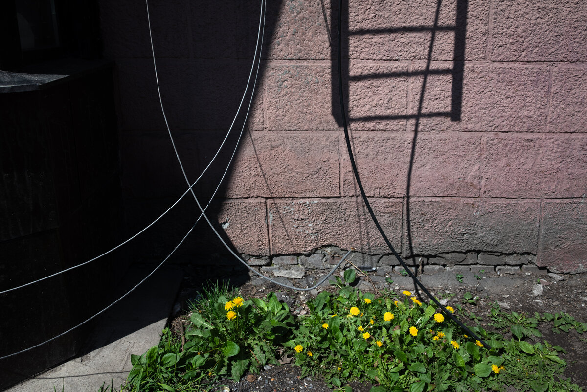 *** - Валерий Михмель 