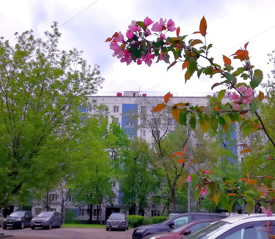 Городской пейзаж. - Ольга Довженко Городской пейзаж. - Ольга Довженко