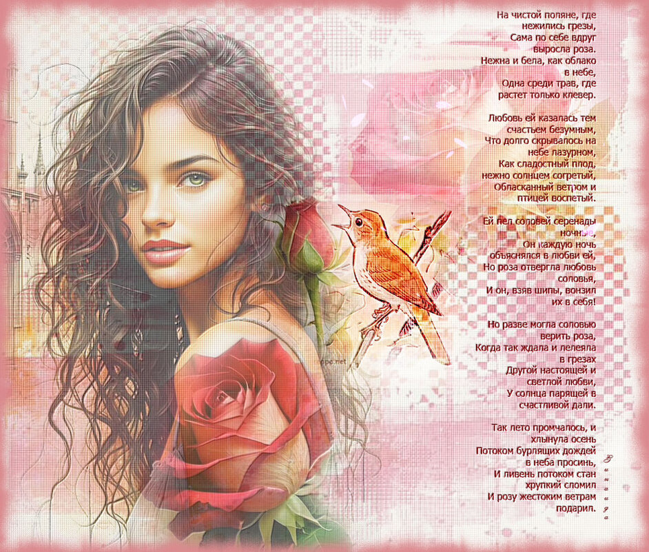 Роза... - Зинаида Бор Роза... - Зинаида Бор