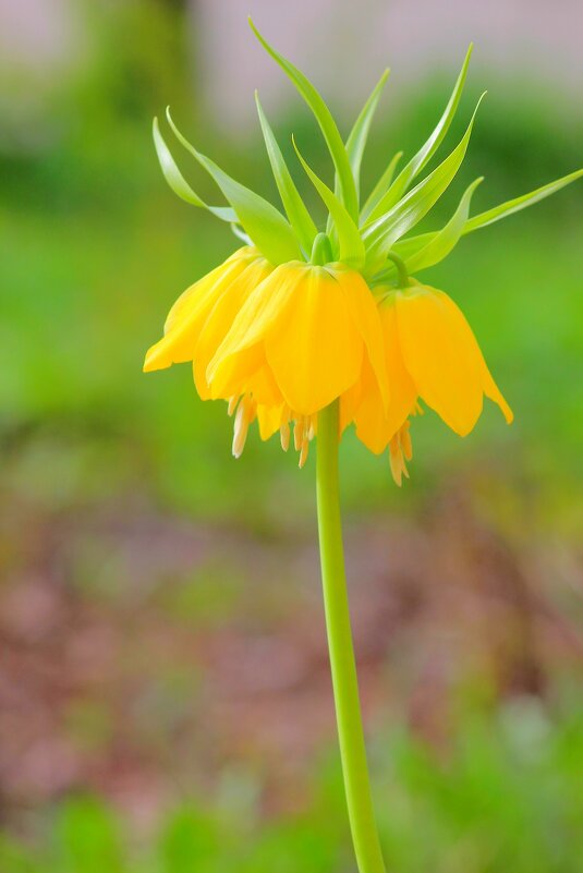 ... - Владимир иванов ... - Владимир иванов